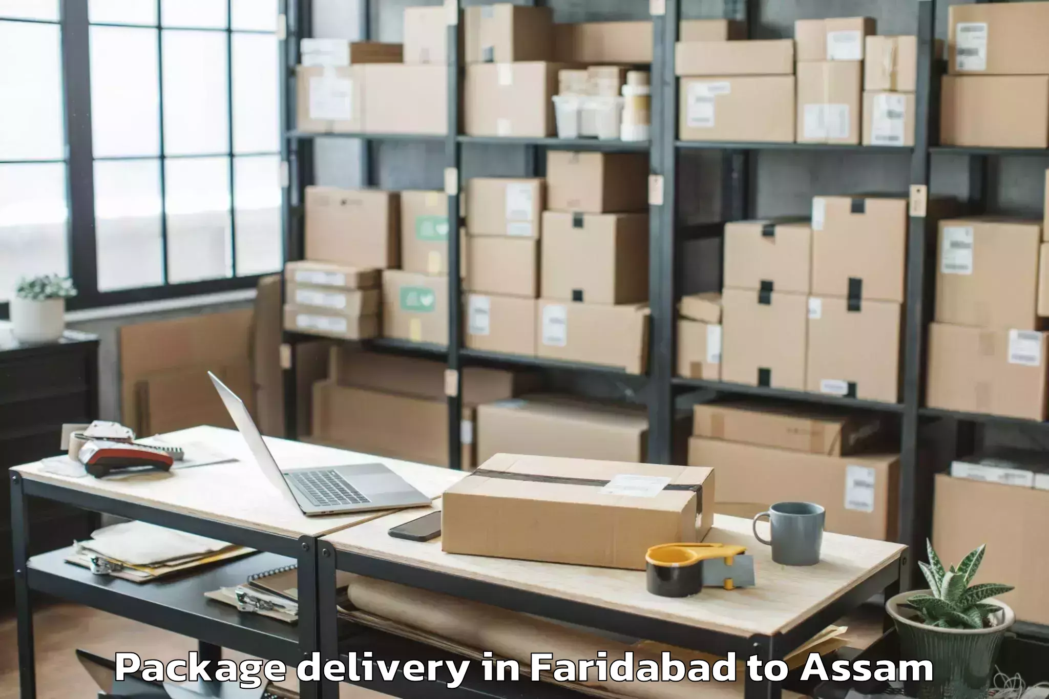 Book Faridabad to Chaparmukh Package Delivery